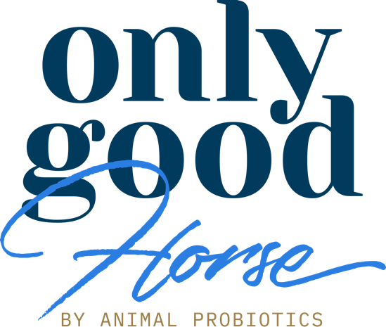 OnlyGoodHorse_hästprobiotika